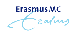 Erasmus Aesthetics